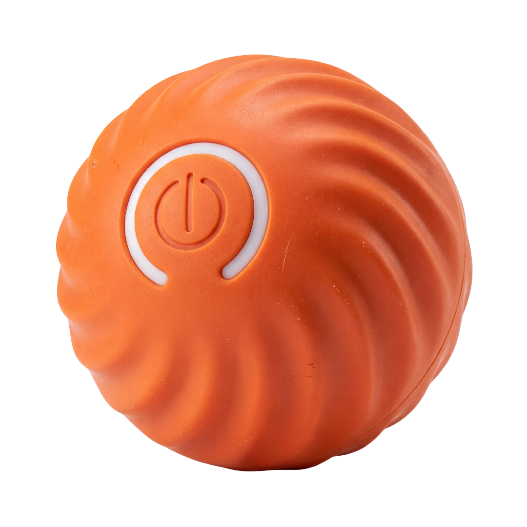 Woofle Bounce Ball