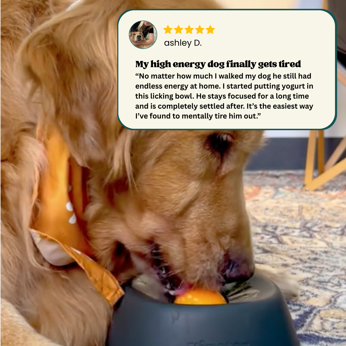 Woofle Calming Bowl