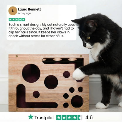 The KittyClaw Nail Care Kit