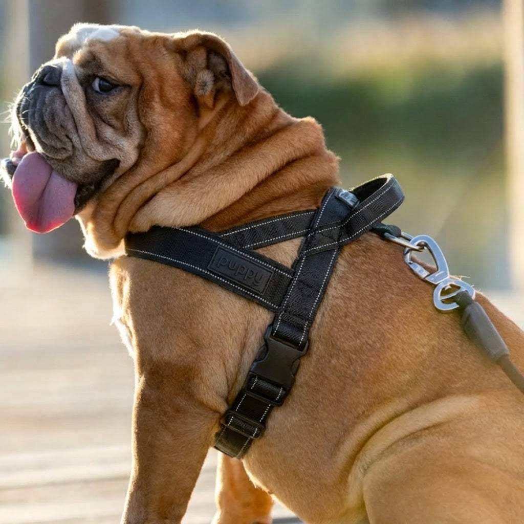 Puppy™ No-Pull Harness