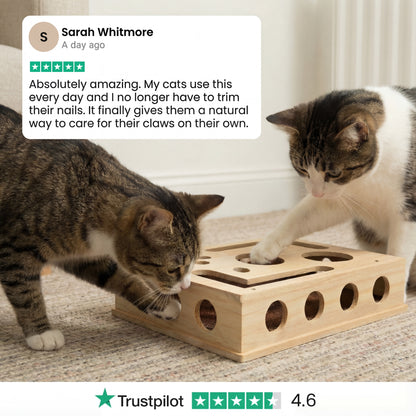 The KittyClaw Nail Care Kit