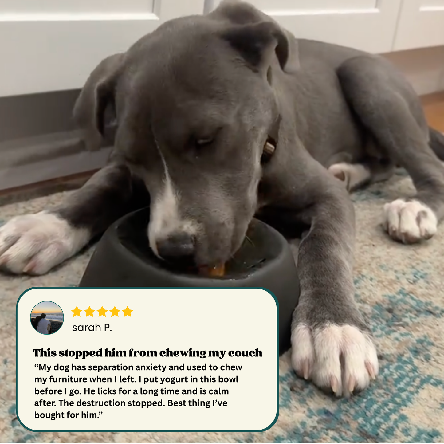 Woofle Calming Bowl